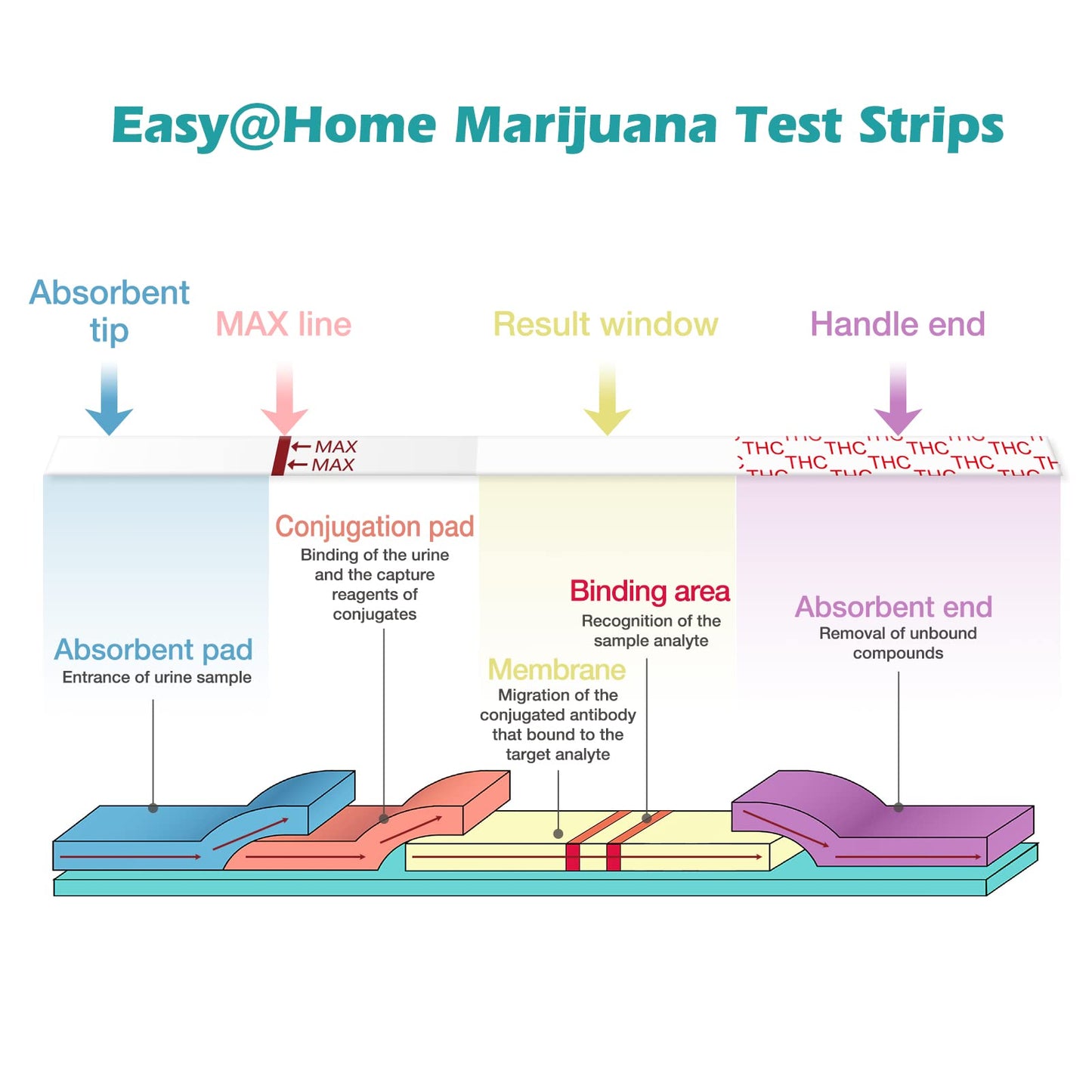 Easy@Home Marijuana Test Strips: THC Urine Drug Test Kit for at Home Over The Counter Use - Screens Metabolites of Drugs Containing THC with Cutoff Level 50ng/mL-Individually Wrapped 10 Pack ESTH-115
