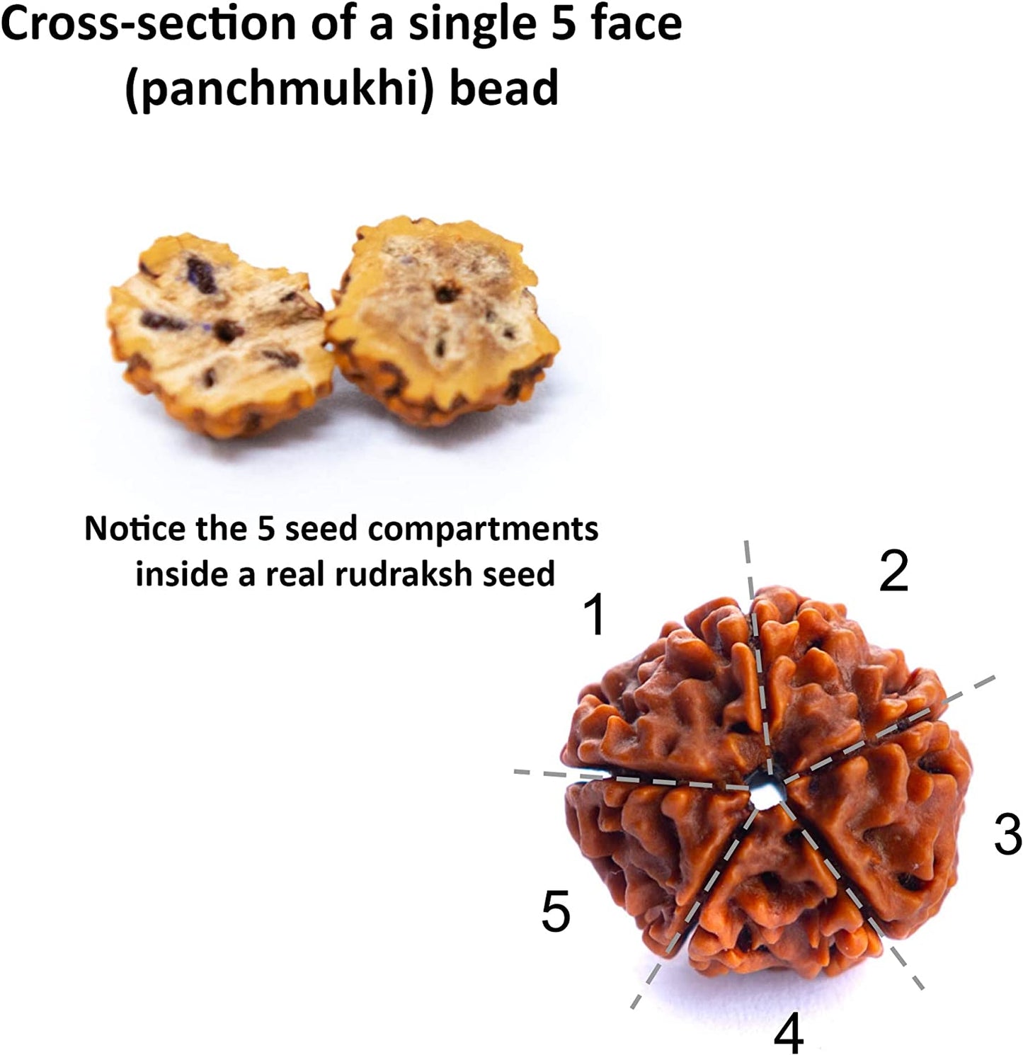 Wonder Care 108 Rudraksha Mala Real-5face Beaded Rudrashka Necklace- Genuine Himalayan Rudraksha Seeds Unisex jewelry with 2 pc Beaded String Bracelet -(8mm approx.)