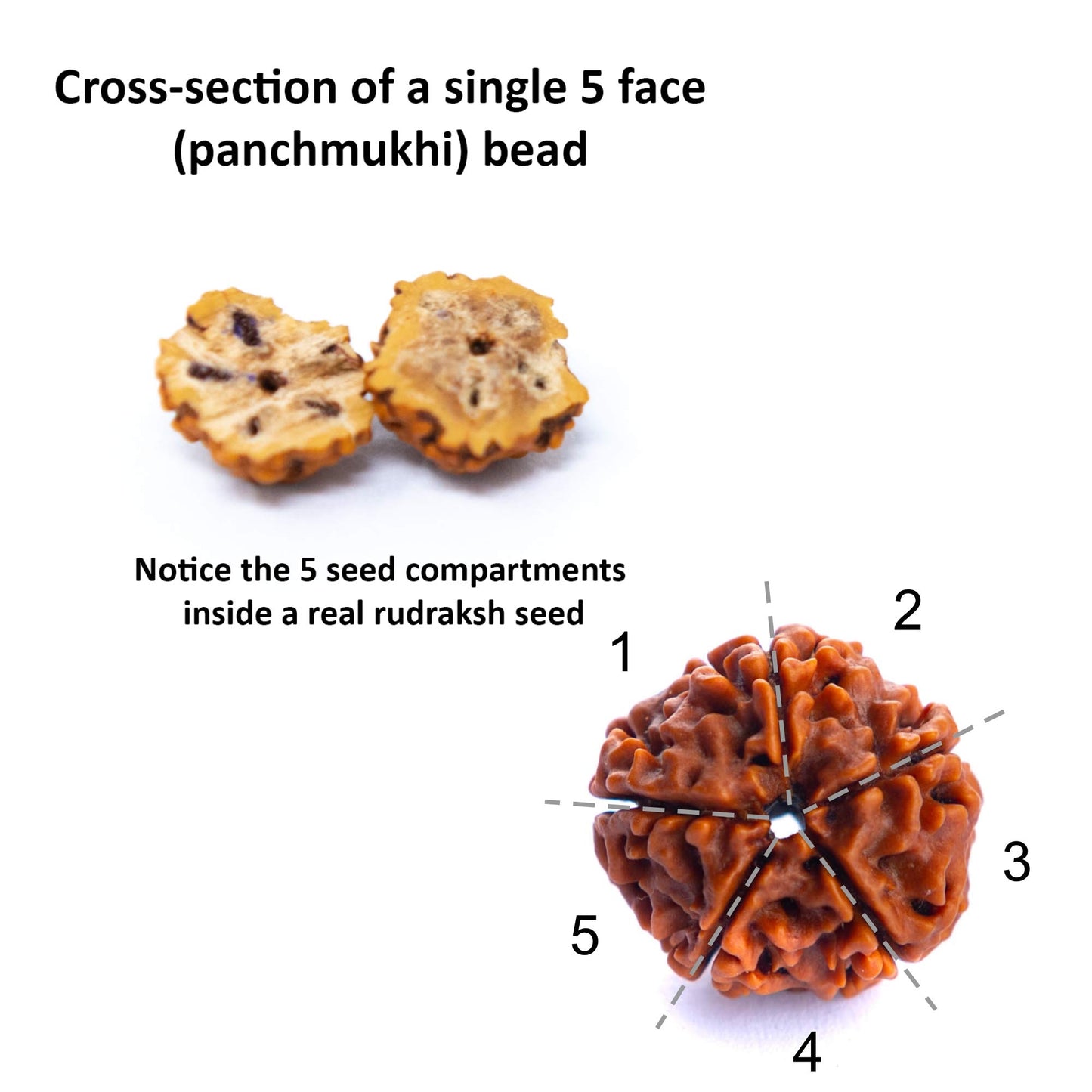 Wonder Care 108 Rudraksha Mala Real-5face Beaded Rudrashka Necklace- Genuine Himalayan Rudraksha Seeds Unisex jewelry with 2 pc Beaded String Bracelet -(8mm approx.)