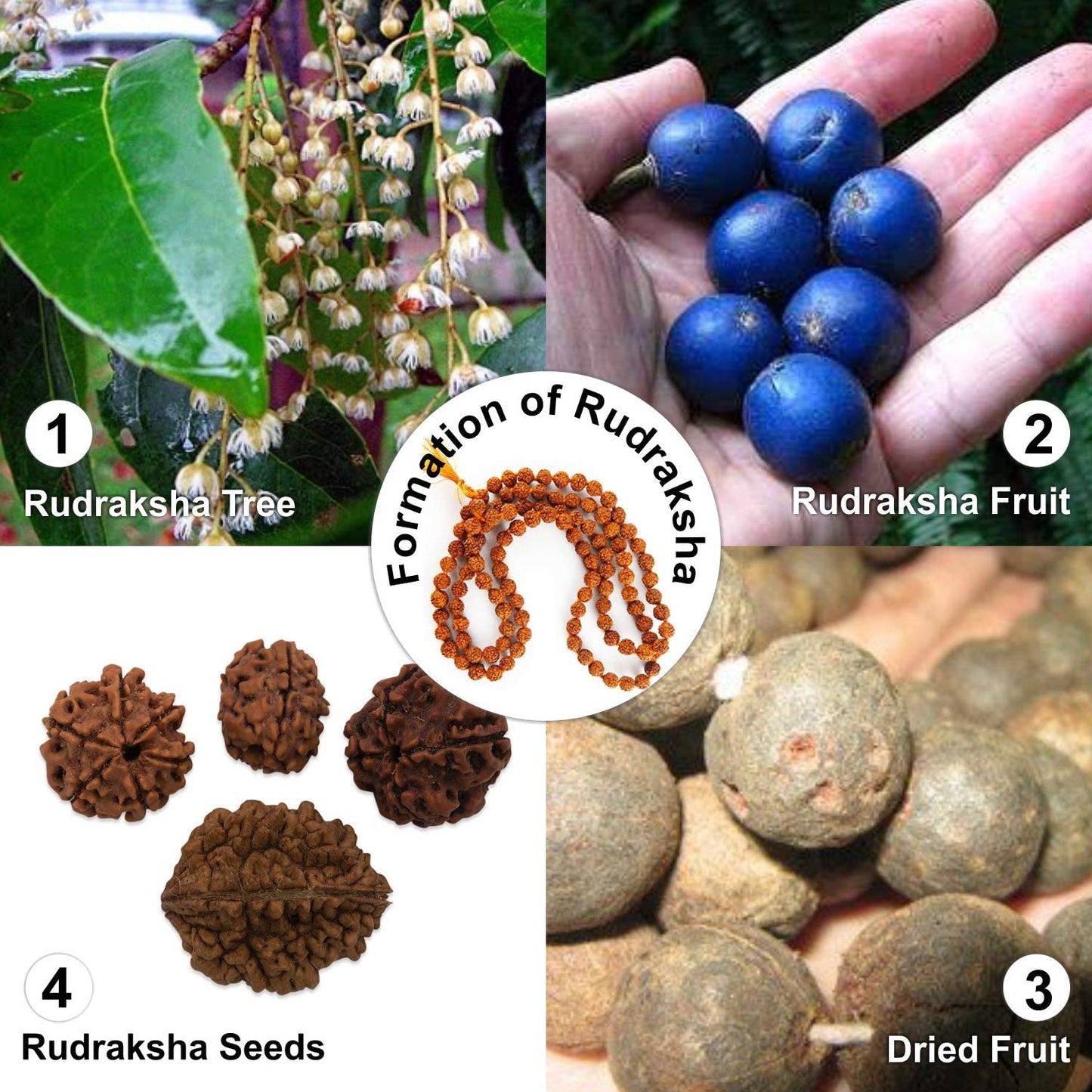 Wonder Care 108 Rudraksha Mala Real-5face Beaded Rudrashka Necklace- Genuine Himalayan Rudraksha Seeds Unisex jewelry with 2 pc Beaded String Bracelet -(8mm approx.)