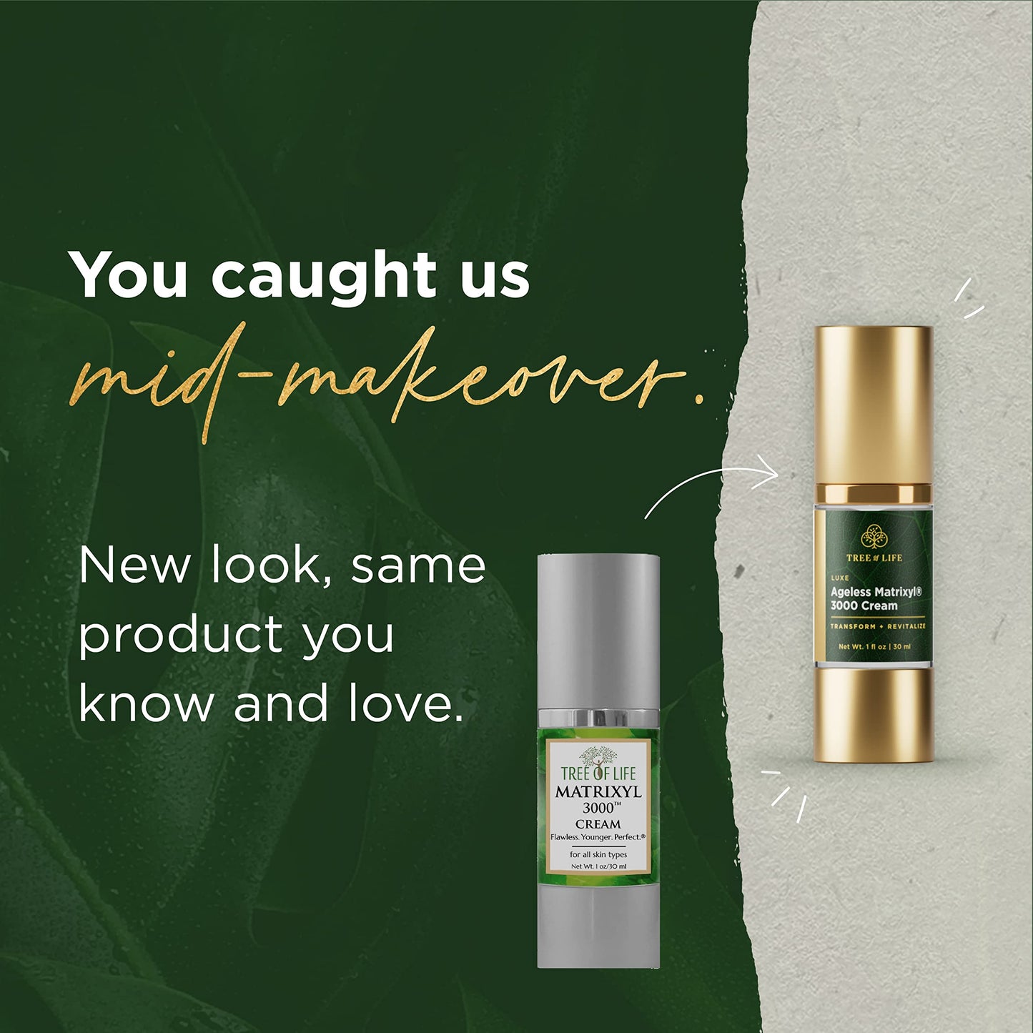 Tree of Life Matrixyl 3000 Anti-Aging Face Cream | Advanced Moisturizer with Polypeptides, 1 Fl Oz